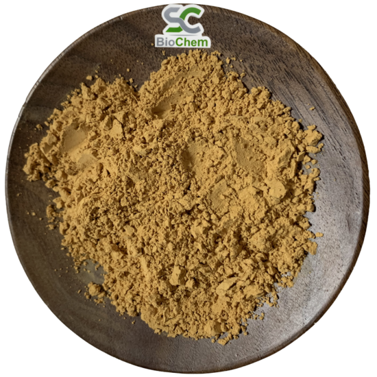 Artichoke-Extract-550x550 Herbal Extracts