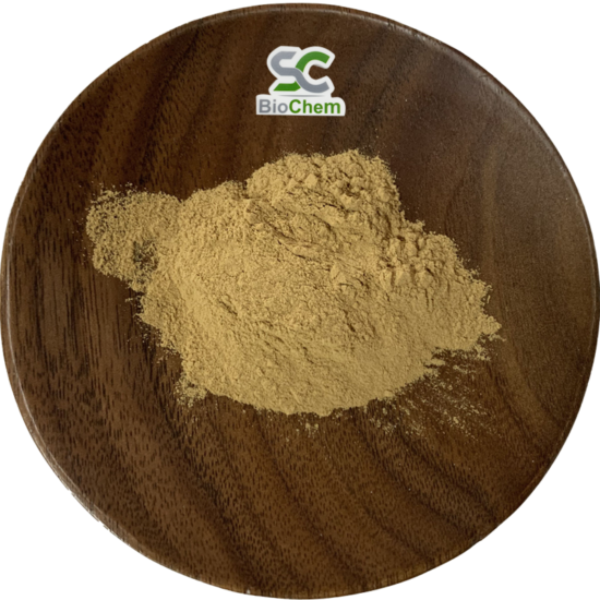 Astragalus-Root-3-550x550 Herbal Extracts