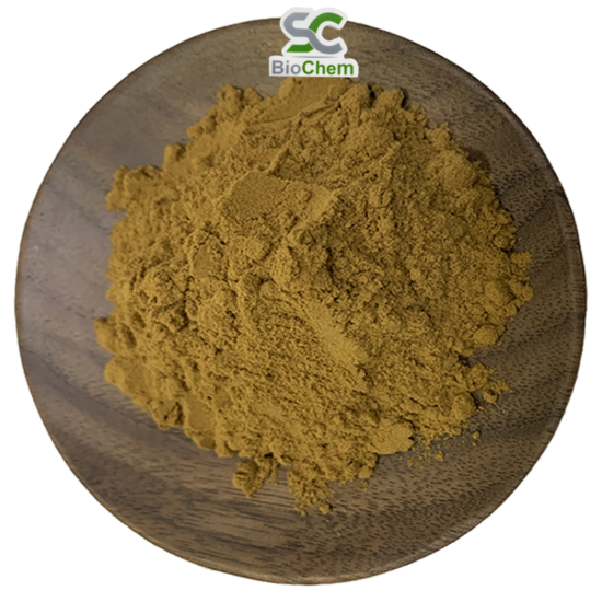 Huperzia-Serrata-Extract-1-550x550 Herbal Extracts