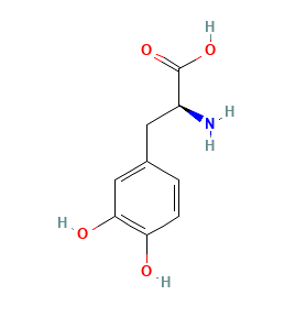 44248c27a1085e0150c918e8583db4e Levodopa: A shining star in the field of Parkinson's disease treatment