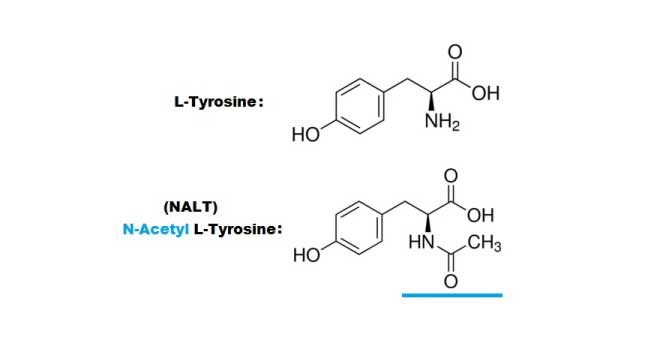 Difference-between-N-Acetyl-L-tyrosine-and-L-tyrosine-1 Application of N-Acetyl-L-tyrosine（NALT）in the field of nutritional supplementation: Exploring its multiple health benefits.