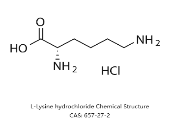 image Explore L-lysine hydrochloride: An important amino acid supplement.